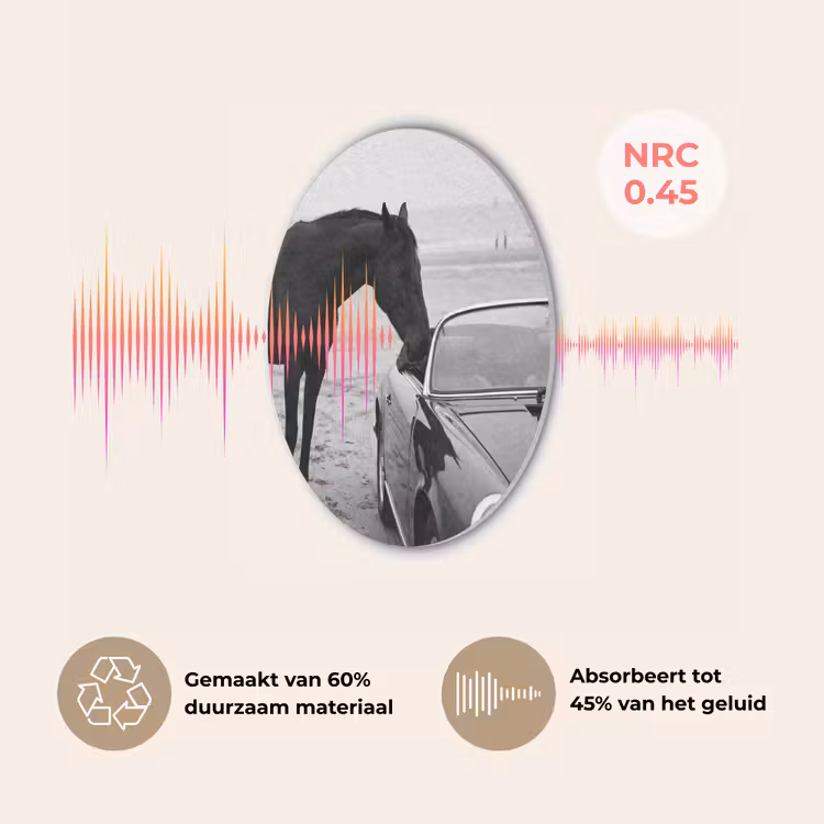 Paard - Auto - Zwart - Wit Akoestische PET Vilt - Rond klein -USP_NL