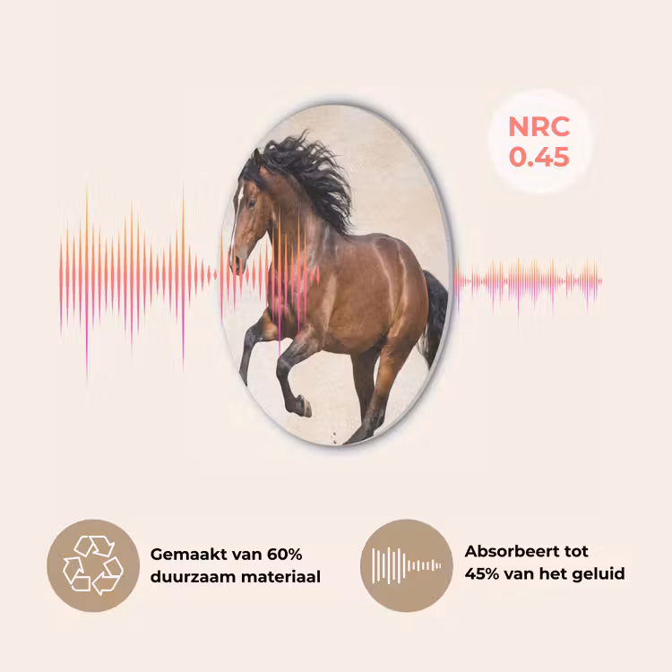 Paard - Galop - Energie Akoestische PET Vilt - Rond klein -USP_NL