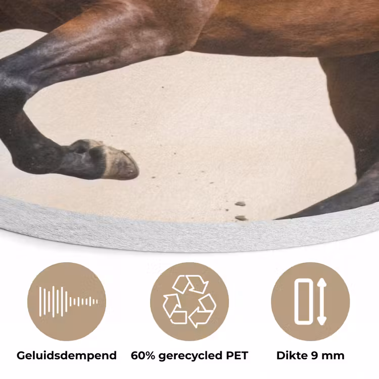 Paard - Galop - Energie Akoestische PET Vilt - Rond klein -closeup_NL