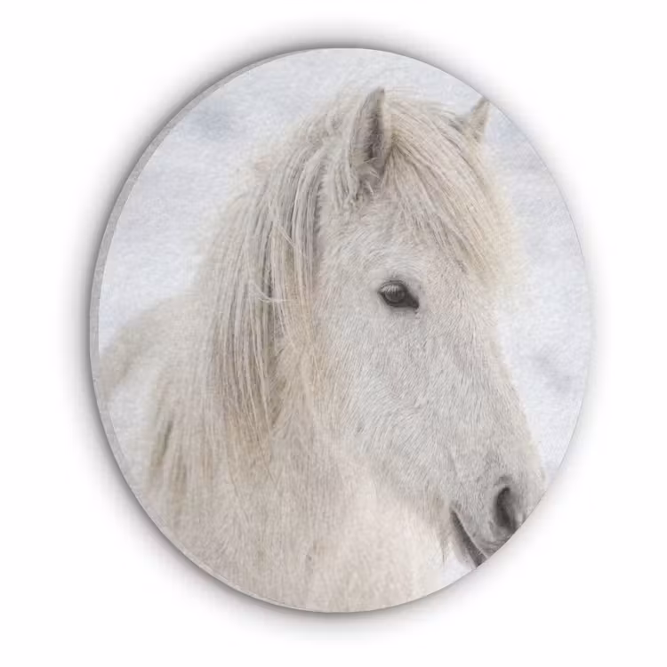 Paard - Kop - Winter - Dieren - Wit Akoestische PET Vilt - Rond klein -3d