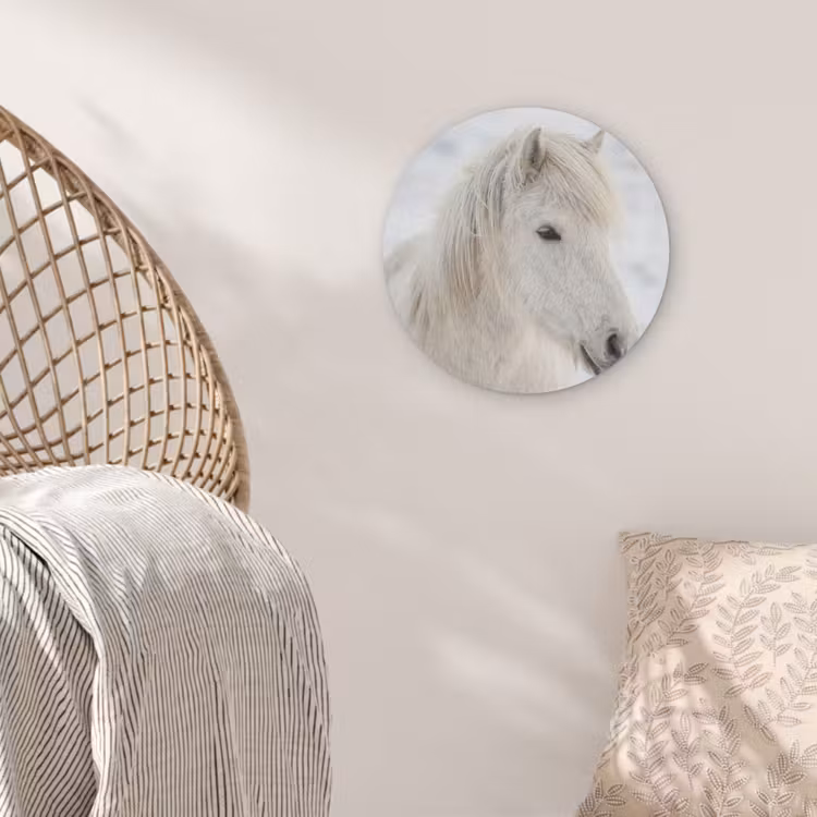 Paard - Kop - Winter - Dieren - Wit Akoestische PET Vilt - Rond klein -sfeer4