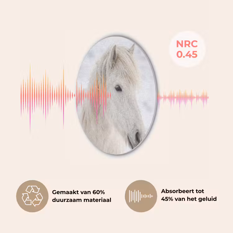 Paard - Kop - Winter - Dieren - Wit Akoestische PET Vilt - Rond klein -USP_NL