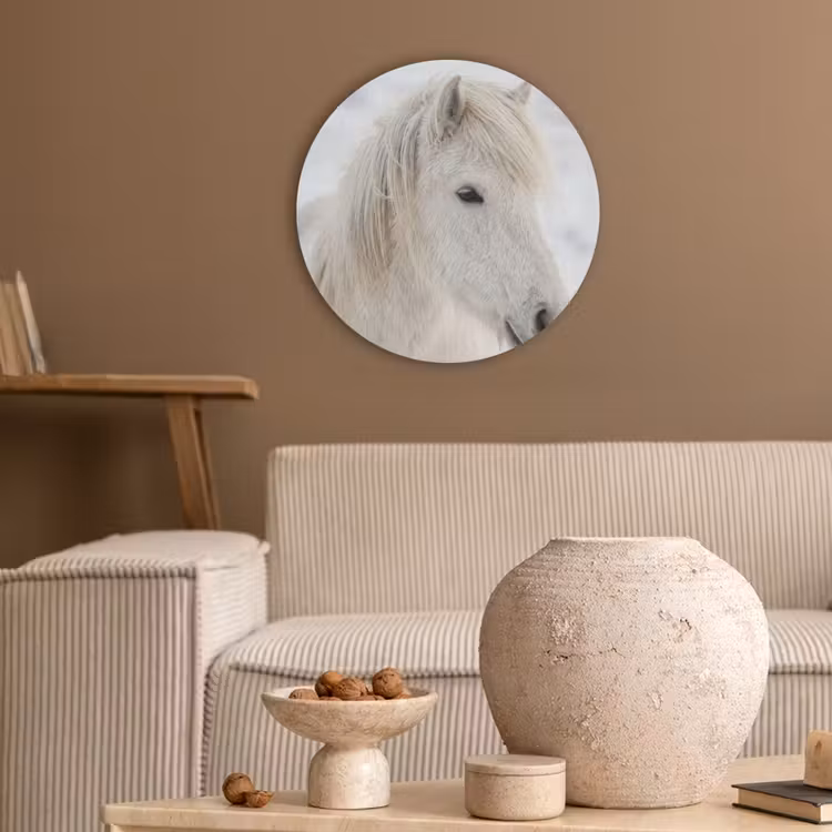 Paard - Kop - Winter - Dieren - Wit Akoestische PET Vilt - Rond klein -sfeer1