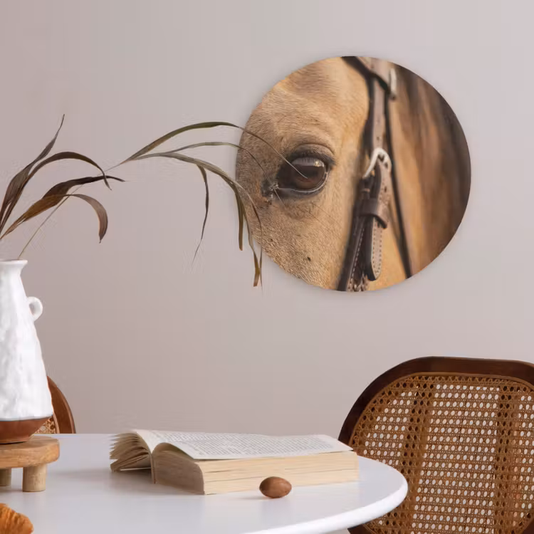 Paard - Oog - Bruin Akoestische PET Vilt - Rond klein -sfeer3