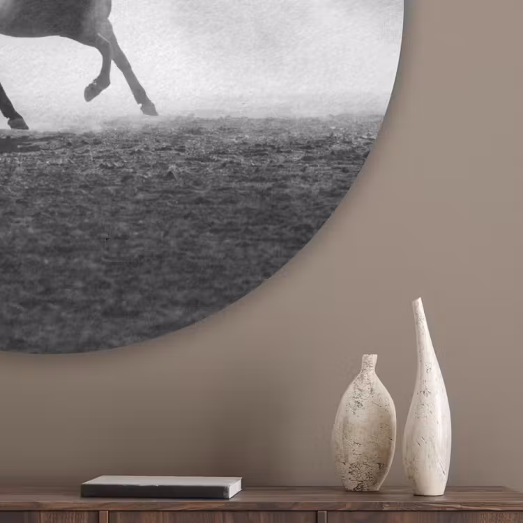 Paard - Ren - Stof - Zwart-wit - Dieren Akoestische PET Vilt - Rond klein -sfeer5_closeup