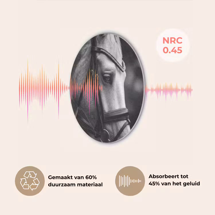 Paard - Schimmel - Portret Akoestische PET Vilt - Rond klein -USP_NL