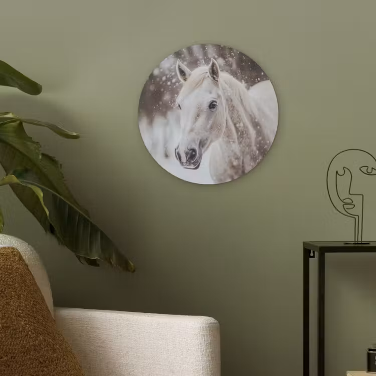 Paard - Wit - Winter - Natuur - Sneeuw - Dieren Akoestische PET Vilt - Rond klein -sfeer2