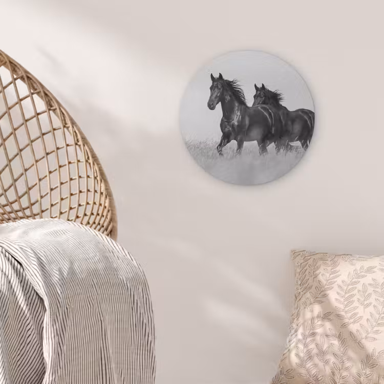 Paarden - Gras - Zwart - Wit Akoestische PET Vilt - Rond klein -sfeer4