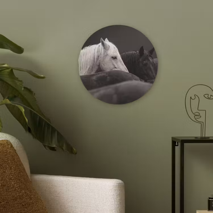 Paarden - Zwart - Wit - Kudde Akoestische PET Vilt - Rond klein -sfeer2