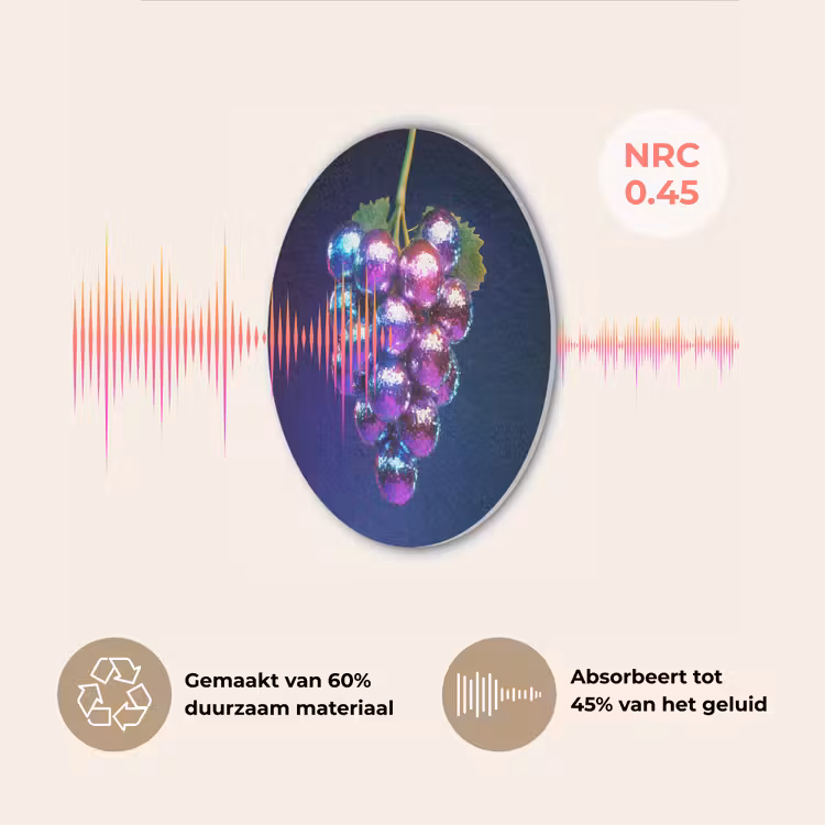 Paars - Disco - Feest - Druif Akoestische PET Vilt - Rond klein -USP_NL