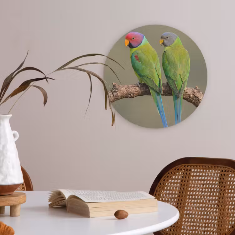 Papagaai - Tak - Natuur - Kleurrijk Akoestische PET Vilt - Rond klein -sfeer3