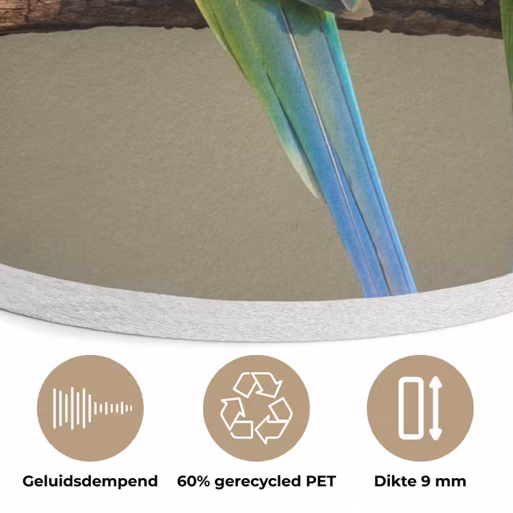 Papagaai - Tak - Natuur - Kleurrijk Akoestische PET Vilt - Rond klein -closeup_NL