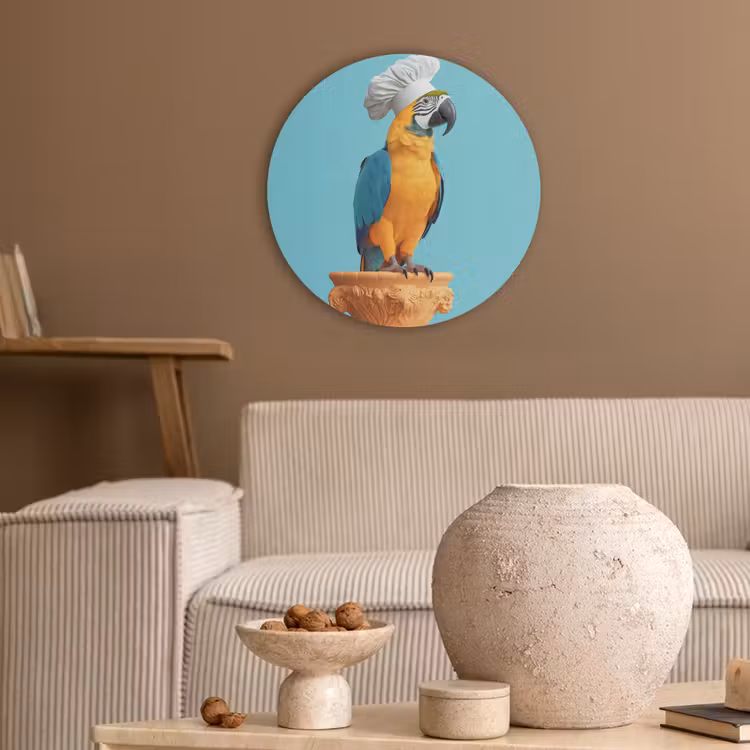Papegaai - Koksmuts - Grappig - Vogel Akoestische PET Vilt - Rond klein -sfeer1