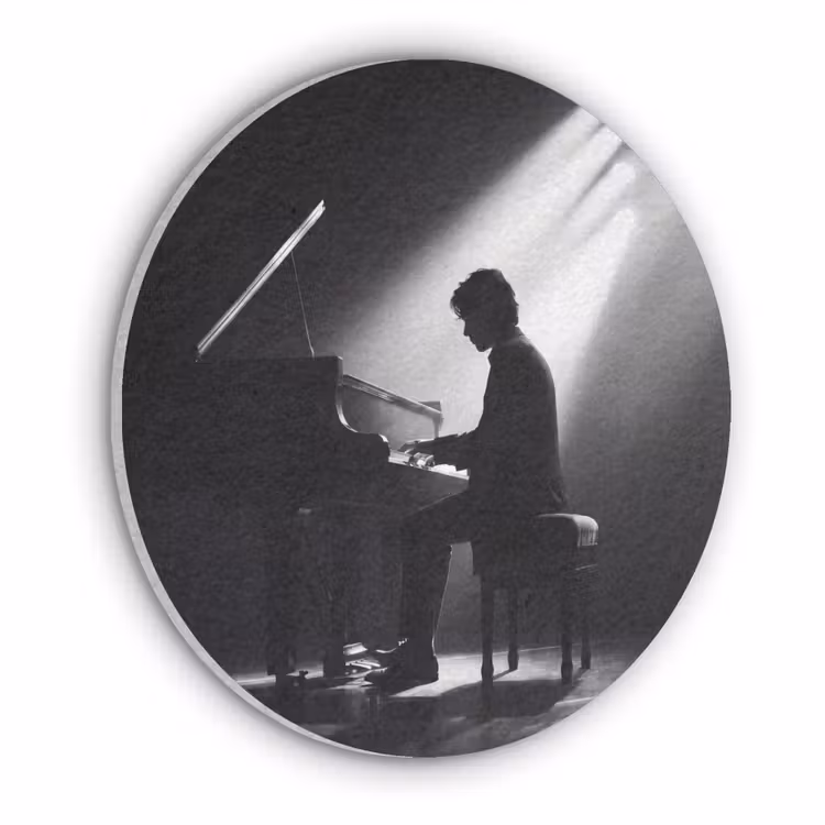Persoon - Piano - Muziek - Zwart-wit - Podium Akoestische PET Vilt - Rond klein -3d