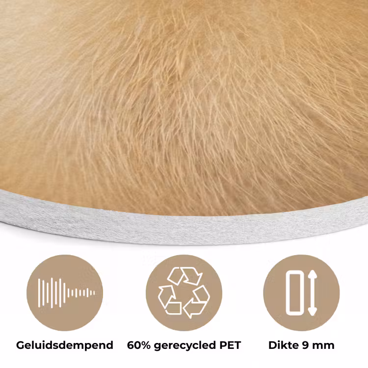 Pijltje - Eend - Natuur - Geel Akoestische PET Vilt - Rond klein -closeup_NL