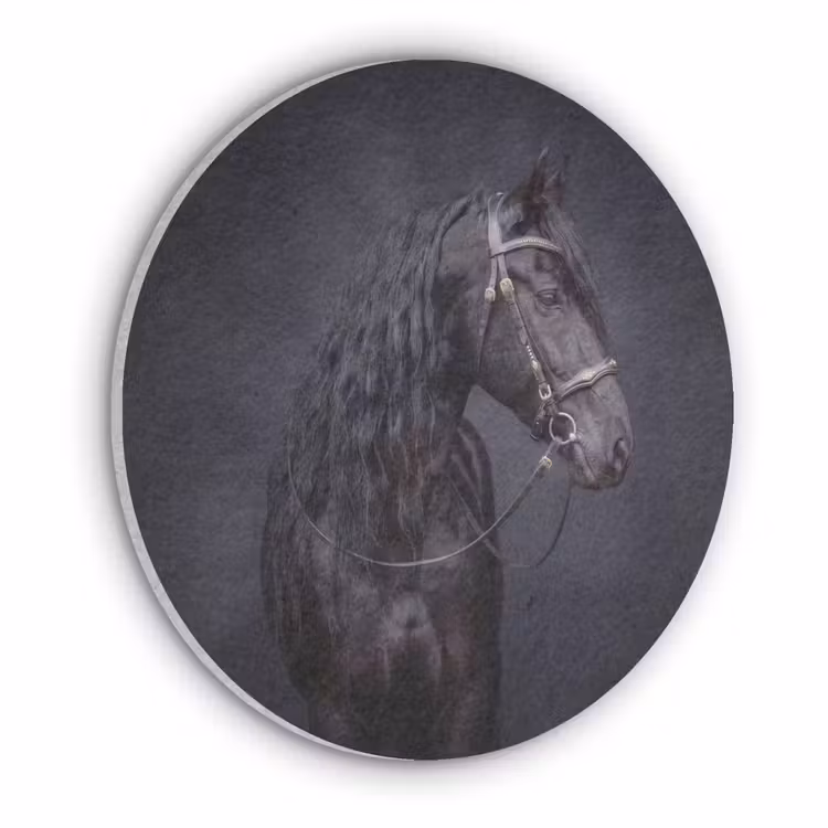 Portret - Paard - Donker Akoestische PET Vilt - Rond klein -3d