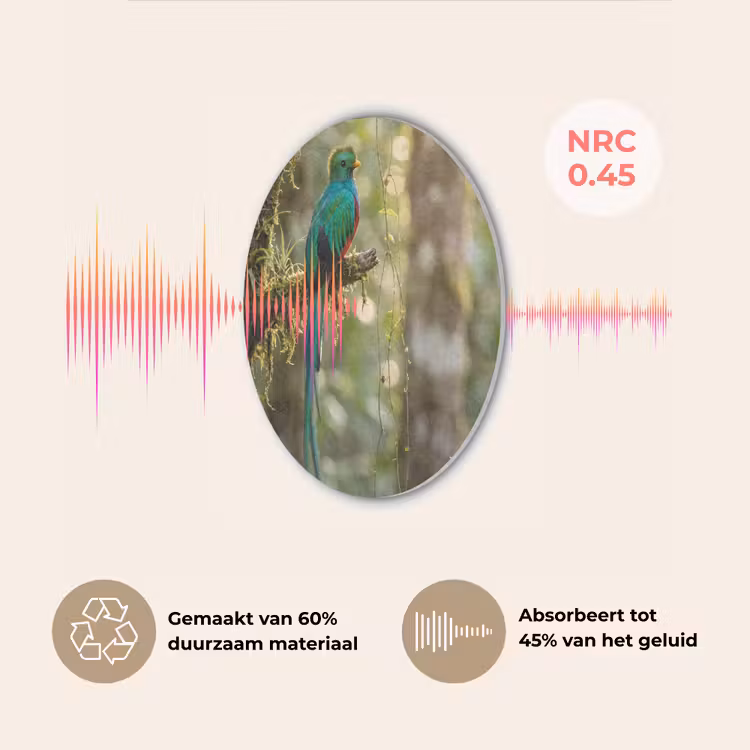 Quetzal - Jungle - Natuur - Groen Akoestische PET Vilt - Rond klein -USP_NL