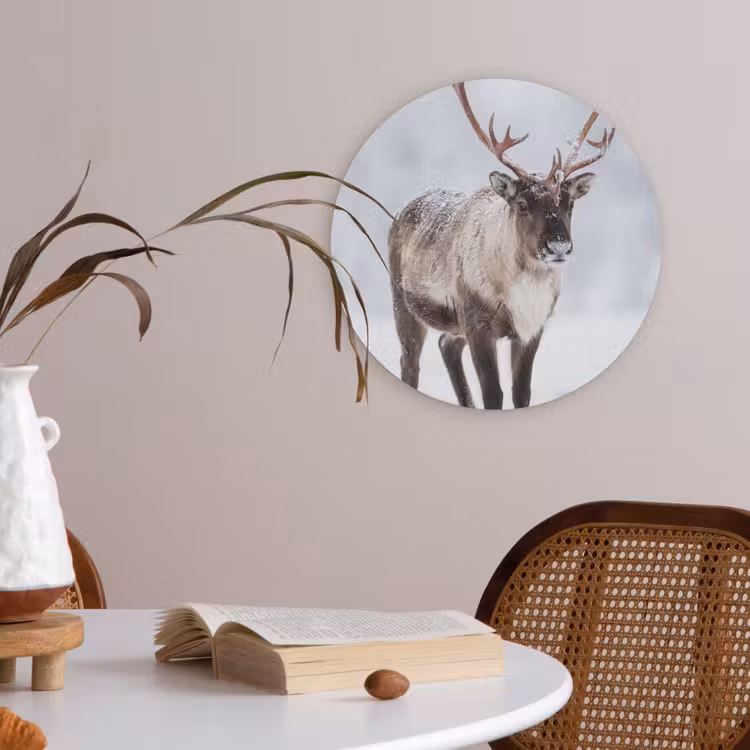 Rendier - Gewei - Toendra - Sneeuw - Wild Akoestische PET Vilt - Rond klein -sfeer3