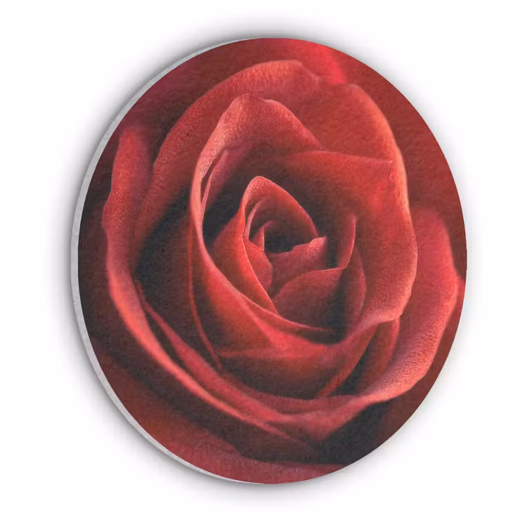 Rood - Roos - Romantisch Akoestische PET Vilt - Rond klein -3d