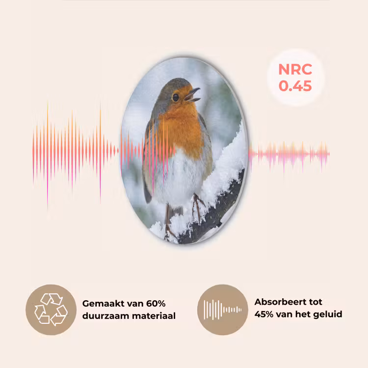 Roodborstje - Tak - Sneeuw - Winter - Levendig Akoestische PET Vilt - Rond klein -USP_NL