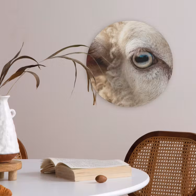 Schaap - Oog - Wit Akoestische PET Vilt - Rond klein -sfeer3