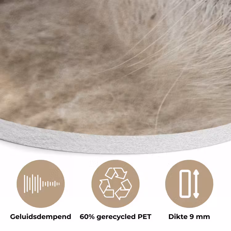 Schaap - Oog - Wit Akoestische PET Vilt - Rond klein -closeup_NL