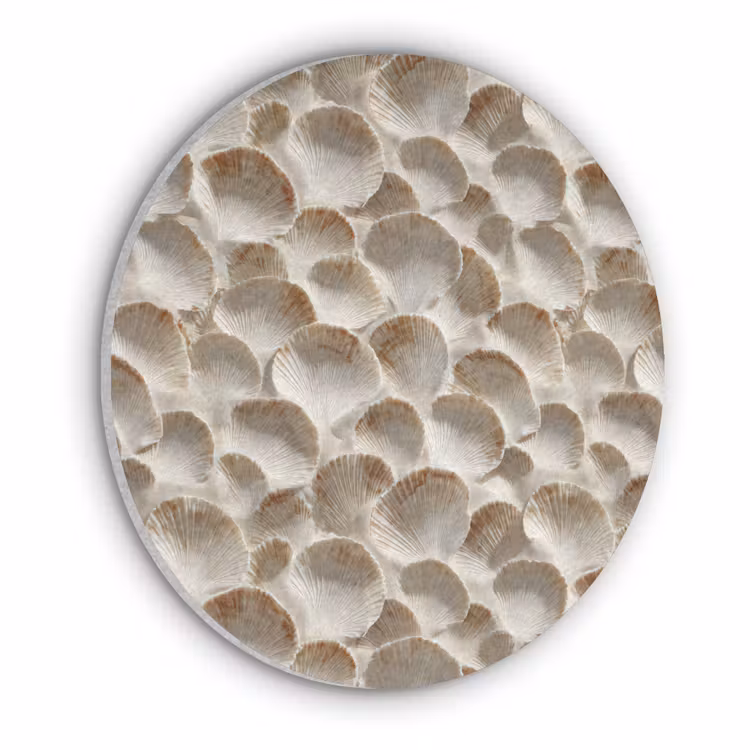 Schelpen - Waaiervorm - Wit Akoestische PET Vilt - Rond klein 838 -3d