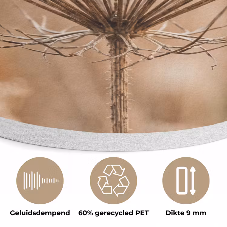 Schermbloem - Droogbloem - Winter - Beige - Minimalistisch Akoestische PET Vilt - Rond klein -closeup_NL