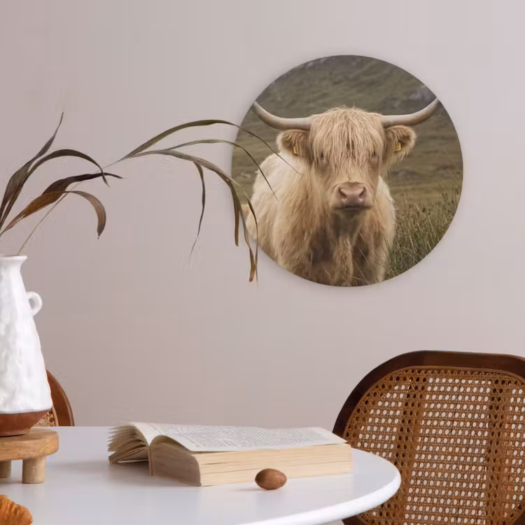 Schotse hooglander - Bergen - Grasveld Akoestische PET Vilt - Rond klein -sfeer3