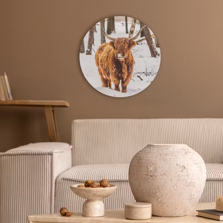 Schotse Hooglander - Sneeuw - Winter - Natuur - Dieren Akoestische PET Vilt - Rond klein -sfeer1