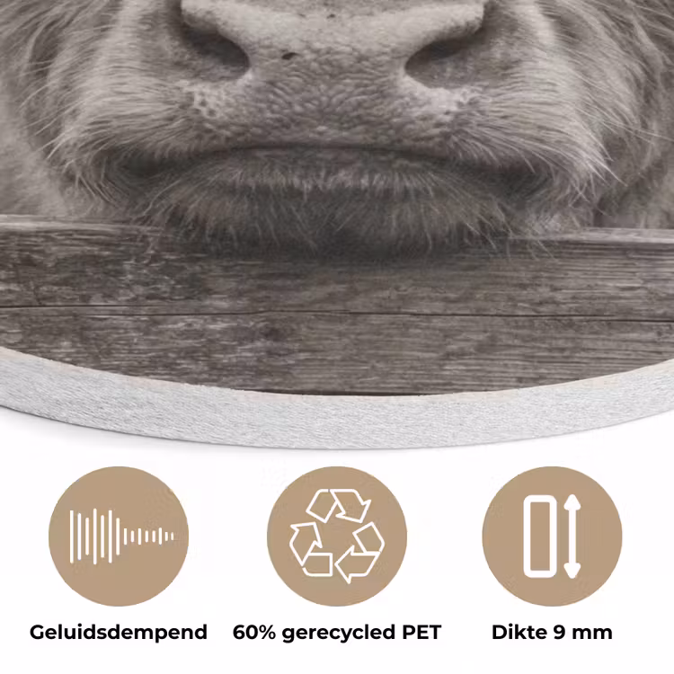Schotse hooglander - Zwart - Wit - Hout Akoestische PET Vilt - Rond klein -closeup_NL