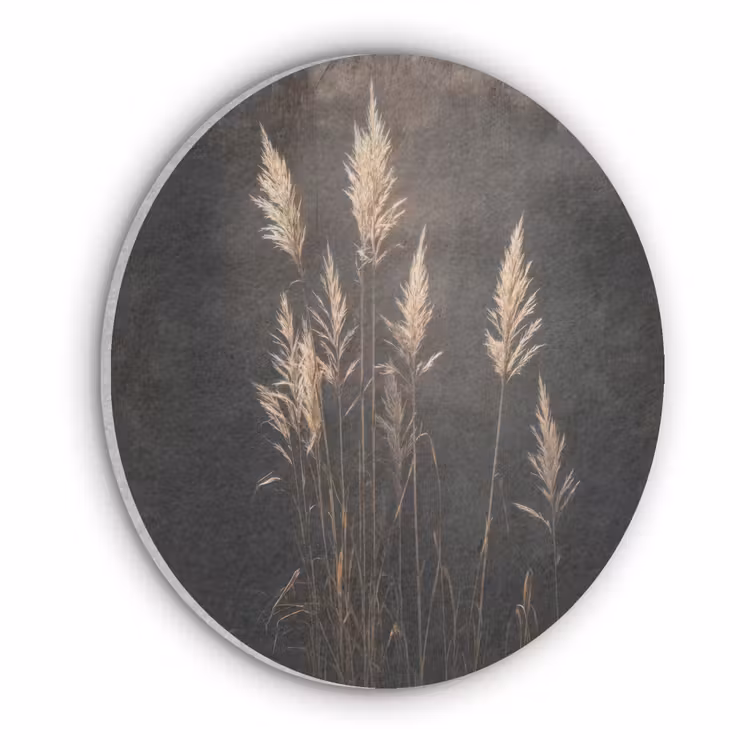 Siergras - Pluimen - Verlichting - Zwart Akoestische PET Vilt - Rond klein -3d