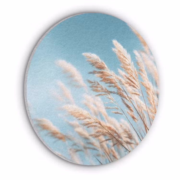 Siergras - Wind - Lichtbruin Akoestische PET Vilt - Rond klein -3d