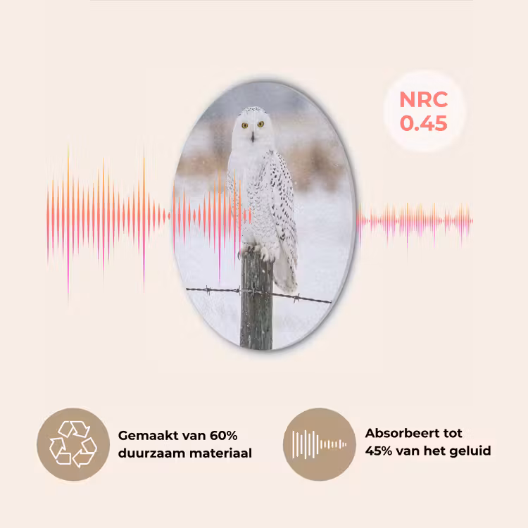 Sneeuwuil - Hek - Sneeuw - Wit Akoestische PET Vilt - Rond klein -USP_NL