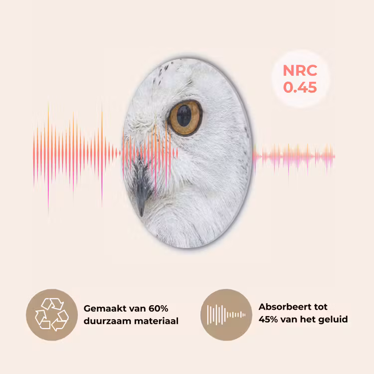 Sneeuwuil - Oog - Wildlife - Wit Akoestische PET Vilt - Rond klein -USP_NL