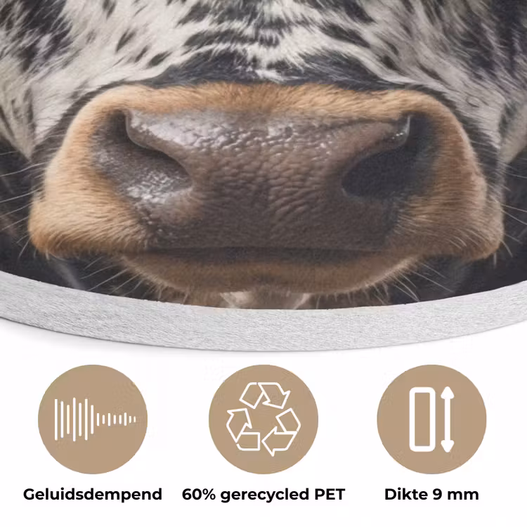 Stier - Kleurrijk - Hoorns Akoestische PET Vilt - Rond klein -closeup_NL