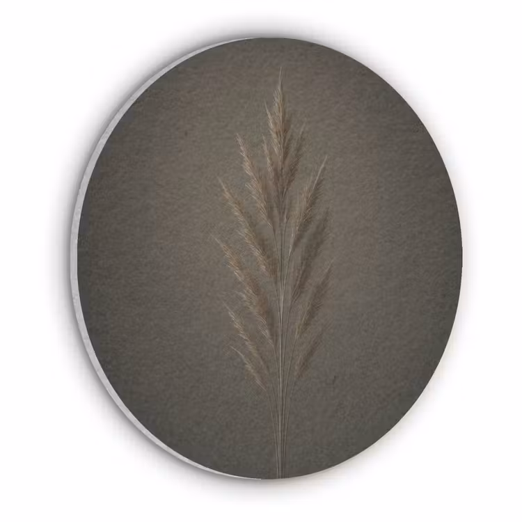 Tak - Pluimgras - Donkerbruin Akoestische PET Vilt - Rond klein -3d