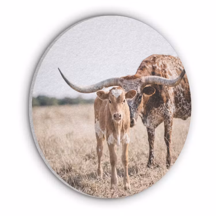 Texas Longhorn - Kalf - Weide - Dieren Akoestische PET Vilt - Rond klein -3d