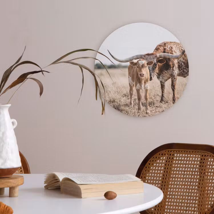 Texas Longhorn - Kalf - Weide - Dieren Akoestische PET Vilt - Rond klein -sfeer3