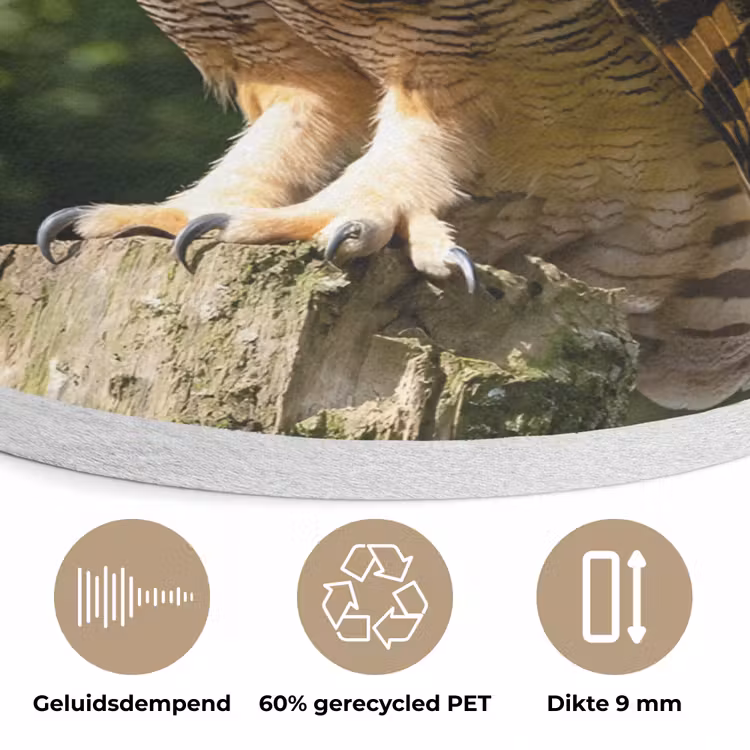 Uil - Boomstronk - Bos - Lucht Akoestische PET Vilt - Rond klein -closeup_NL
