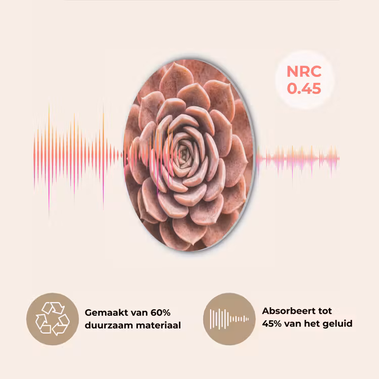 Vetplant - Organisch - Roze Akoestische PET Vilt - Rond klein -USP_NL