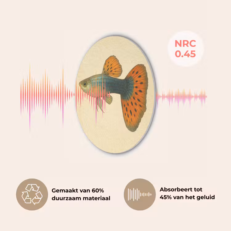 Vis - illustratie - Stippen - Oranje Akoestische PET Vilt - Rond klein -USP_NL