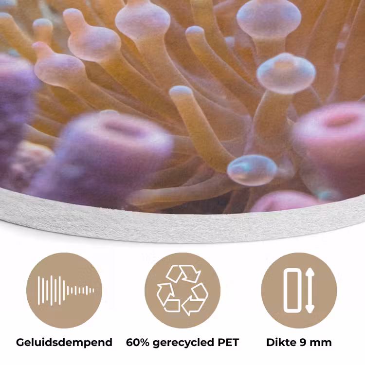 Vis - Koraal - Onderwater - Oranje - Dieren Akoestische PET Vilt - Rond klein -closeup_NL