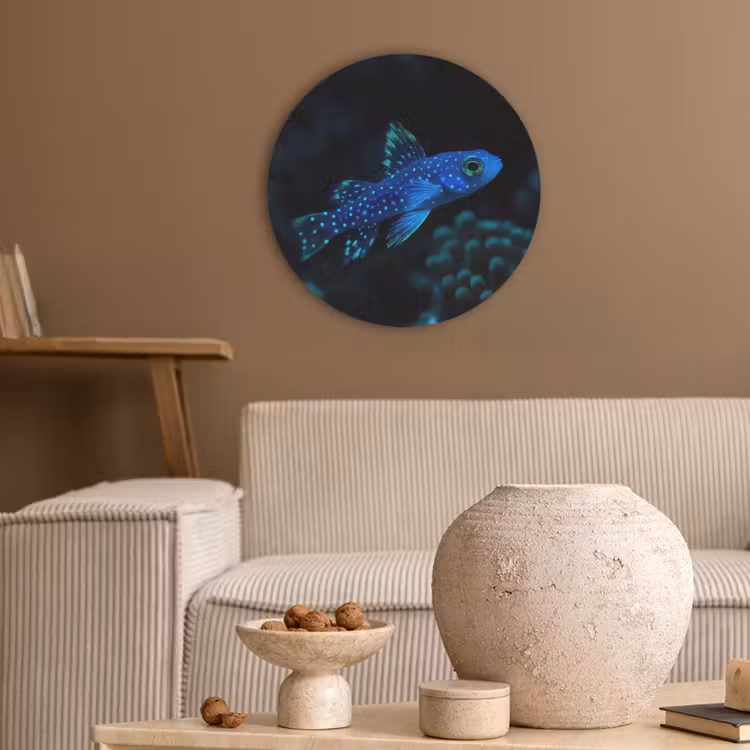 Vis - Stippen - Koraal - Blauw Akoestische PET Vilt - Rond klein -sfeer1