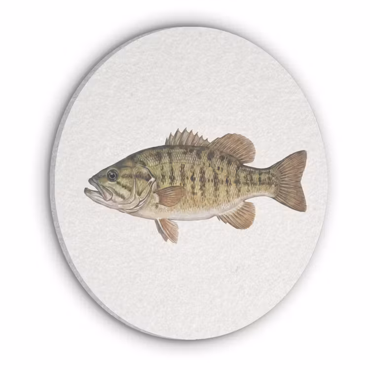Vissen - Natuur - Vintage Akoestische PET Vilt - Rond klein -3d