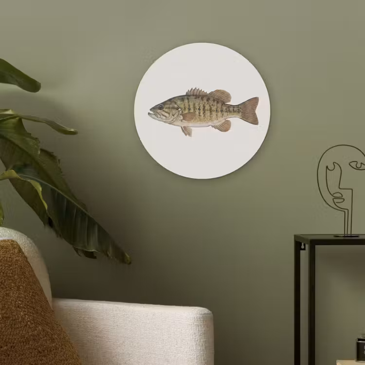 Vissen - Natuur - Vintage Akoestische PET Vilt - Rond klein -sfeer2