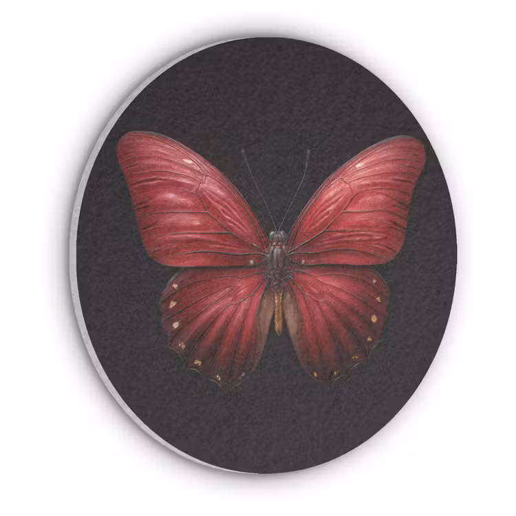 Vlinder - Rood - Minimalistisch Akoestische PET Vilt - Rond klein -3d