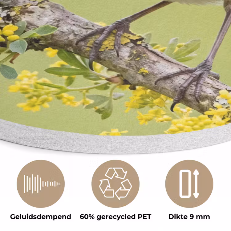 Vogel - Tak - Natuur - Kleurrijk Akoestische PET Vilt - Rond klein -closeup_NL