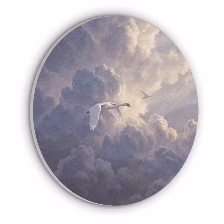 Vogel - Vliegend - Natuur - Wit - Wolken Akoestische PET Vilt - Rond klein -3d