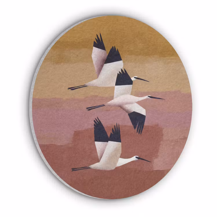 Vogels - Snavel - Abstract Akoestische PET Vilt - Rond klein -3d